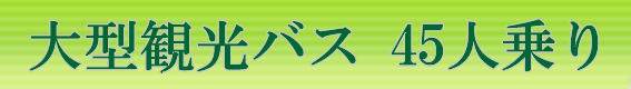 大型観光バス45人乗り